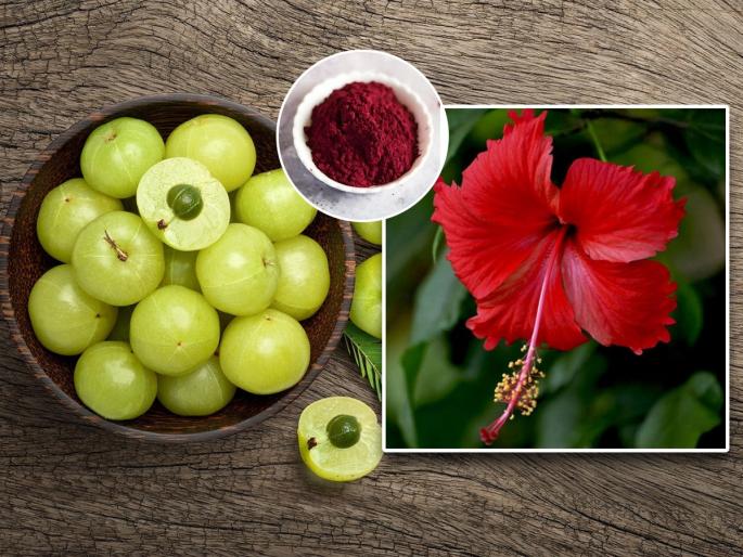 Use amla and hibiscus powder regularly, see what magic happens to your hair and skin, see when to use it | आवळ्याची आणि जास्वंदाची पूड सातत्याने वापरा, पाहा केस आणि त्वचेवर काय होते जादू, पाहा कधी वापरायची