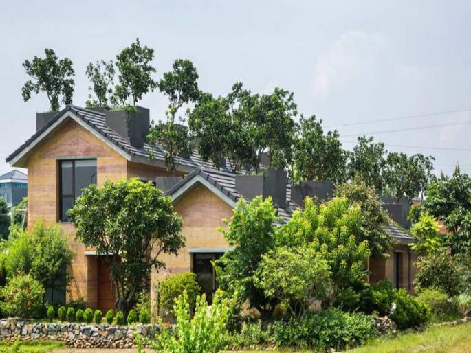 Real estate: decorate your home to make it cool and green | घराला 'हटके ग्रीन लूक' देण्यासाठी 'या' पर्यायांचा विचार करा Real estate: decorate your home to make it cool and green | घराला 'हटके ग्रीन लूक' देण्यासाठी 'या' पर्यायांचा विचार करा