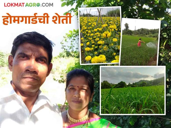 Farmer Success Story: Couldn't serve the country, did experimental farming while serving the soil | Farmer Success Story: देशसेवा करता आली नाही, मातीची सेवा करत केली प्रयोगशील शेती
