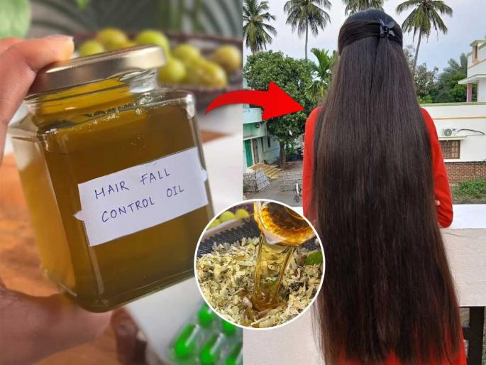 homemade hair fall control oil hair fall control oil at home homemade ayurvedic hair oil recipe | उशी, फरशीवर केसांचे मोठाले पुंजके ? आजीबाईच्या बटव्यातील औषधी तेल - केसगळती थांबून वाढ होईल भरभर... homemade hair fall control oil hair fall control oil at home homemade ayurvedic hair oil recipe | उशी, फरशीवर केसांचे मोठाले पुंजके ? आजीबाईच्या बटव्यातील औषधी तेल - केसगळती थांबून वाढ होईल भरभर...