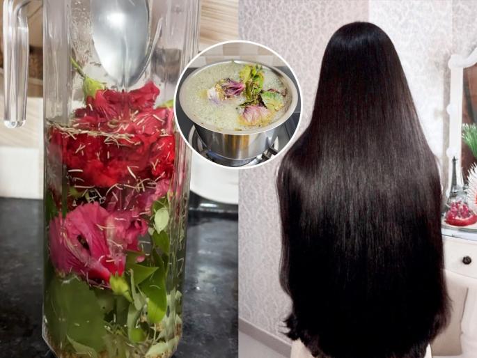 Make a Herbal Leaf and Flower Toner at Home How To Make Toner For Hair At Home leaf and flower hair toner | घरीच करा औषधी पानाफुलांचे टोनर! केसांची खुंटलेली वाढ होईल दुप्पट वेगाने - स्वस्तात मस्त उपाय...