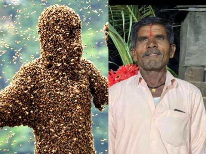 Farmer killed in bee attack; Right injured | मधमाश्यांच्या हल्ल्यात शेतकरी ठार; दाेन जखमी Farmer killed in bee attack; Right injured | मधमाश्यांच्या हल्ल्यात शेतकरी ठार; दाेन जखमी