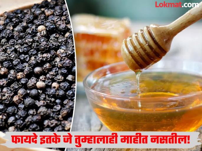 Health benefits of eating black pepper and honey together | मध आणि काळी मिरी एकत्र खाऊन शरीराला मिळतात अनेक फायदे, वाचून व्हाल अवाक्! Health benefits of eating black pepper and honey together | मध आणि काळी मिरी एकत्र खाऊन शरीराला मिळतात अनेक फायदे, वाचून व्हाल अवाक्!
