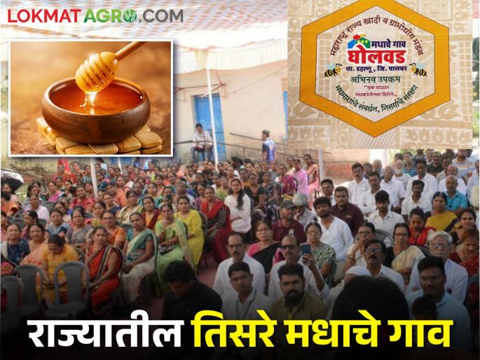 Chikku's sapota Gholwad will now be known as Madhache gav Gholwad | चिक्कूच्या घोलवडची ओळख आता मधाचे गाव घोलवड अशी होणार Chikku's sapota Gholwad will now be known as Madhache gav Gholwad | चिक्कूच्या घोलवडची ओळख आता मधाचे गाव घोलवड अशी होणार