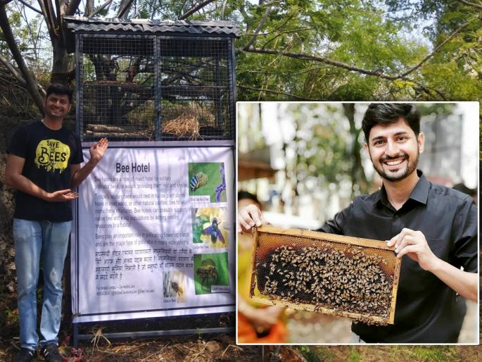 World Biodiversity Day: Special 'Honey Bee Hotel' in Pune for bee conservation! | जागतिक जैवविविधता दिन: मधमाश्यांच्या संवर्धनासाठी पुण्यात आता खास 'हनी बी हॉटेल'! World Biodiversity Day: Special 'Honey Bee Hotel' in Pune for bee conservation! | जागतिक जैवविविधता दिन: मधमाश्यांच्या संवर्धनासाठी पुण्यात आता खास 'हनी बी हॉटेल'!