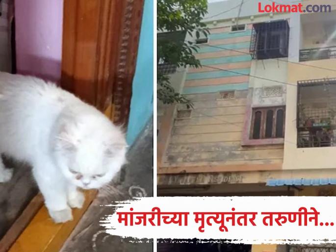 A 20-year-old woman also died after the death of a cat in Hyderabad. | पाळलेल्या मांजरीच्या मृत्यूचा धक्का असह्य झाला अन् २० वर्षाच्या तरुणीने...; भयंकर घटनेने कुटुंब हादरले A 20-year-old woman also died after the death of a cat in Hyderabad. | पाळलेल्या मांजरीच्या मृत्यूचा धक्का असह्य झाला अन् २० वर्षाच्या तरुणीने...; भयंकर घटनेने कुटुंब हादरले