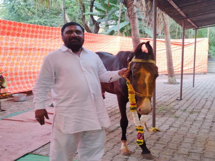 Khandoba service from a Muslim family Offering of Panchkalyani Ashwa by Mahamadbhai of Pimpri | मुस्लिम कुटुंबाकडून खंडेरायाची सेवा; पिंपरीच्या महंमदभाईंकडून ‘पंचकल्याणी अश्व’ अर्पण Khandoba service from a Muslim family Offering of Panchkalyani Ashwa by Mahamadbhai of Pimpri | मुस्लिम कुटुंबाकडून खंडेरायाची सेवा; पिंपरीच्या महंमदभाईंकडून ‘पंचकल्याणी अश्व’ अर्पण
