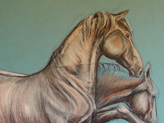 Horse Euthanasia : An emotional boy asked doctor on the phone, 'Sir ... did our horse dead?' | घोड्यास दयामरण : भावनाविवश मुलाने फोनवर विचारले ‘साहेब...आमचा घोडा गेला का?’ Horse Euthanasia : An emotional boy asked doctor on the phone, 'Sir ... did our horse dead?' | घोड्यास दयामरण : भावनाविवश मुलाने फोनवर विचारले ‘साहेब...आमचा घोडा गेला का?’