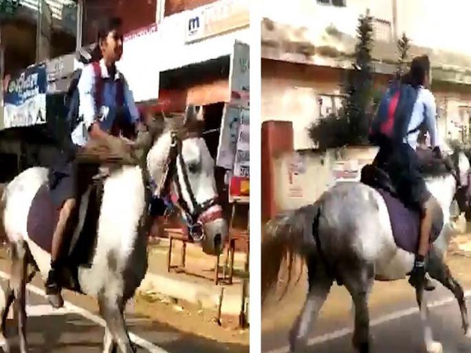 Video: 10th class girl student rides horse to reach school video viral in social media | Video: घोड्यावर बसून शाळकरी मुलगी निघाली परीक्षेला  Video: 10th class girl student rides horse to reach school video viral in social media | Video: घोड्यावर बसून शाळकरी मुलगी निघाली परीक्षेला