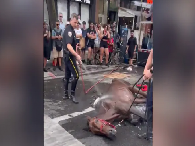 Viral Video: horse got unconscious due to hat scared; police saved his life by showering him | Viral Video: उष्णतेचा कहर, घोड्याला आली भुरळ; पोलिसांनी अजब युक्ती लढवून वाचवला जीव Viral Video: horse got unconscious due to hat scared; police saved his life by showering him | Viral Video: उष्णतेचा कहर, घोड्याला आली भुरळ; पोलिसांनी अजब युक्ती लढवून वाचवला जीव