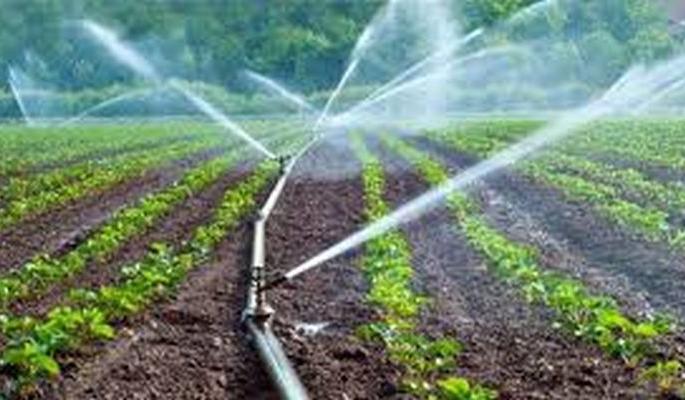 Beneficiaries search for Horticultural land Washim | लाभार्थींना बागायती जमिनीचा शोध