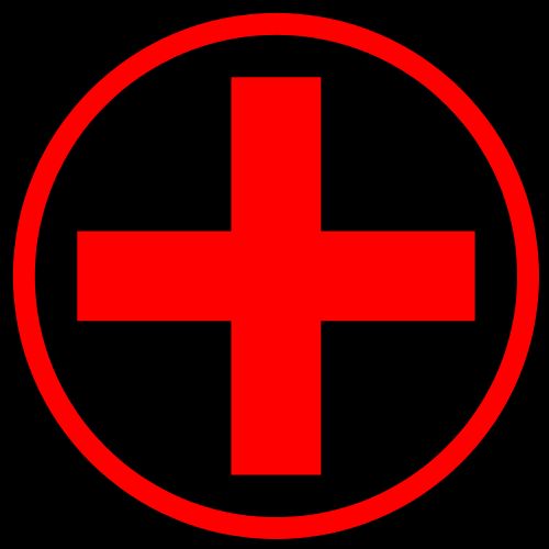 Indian flags in the world in health sector | आरोग्य क्षेत्रात देशाचा जगात झेंडा