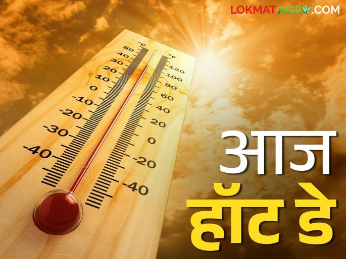 Maharashtra Weather Update : The temperature will continue to rise for the next four to five days | Maharashtra Weather Update : पुढील चार ते पाच दिवस उष्णतेचा पारा अजून वाढणार
