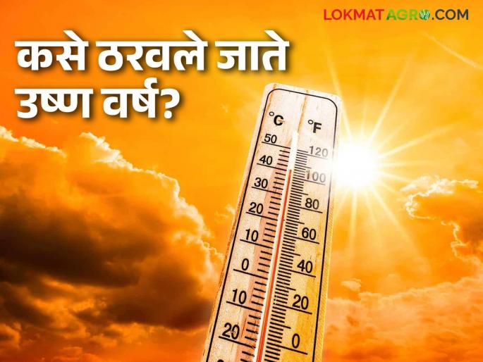 Was 2024 really the hottest year on record? What do climate experts say? Read in detail | २०२४ खरेच सर्वात उष्ण वर्ष होते का? काय सांगतायत हवामान तज्ञ; वाचा सविस्तर Was 2024 really the hottest year on record? What do climate experts say? Read in detail | २०२४ खरेच सर्वात उष्ण वर्ष होते का? काय सांगतायत हवामान तज्ञ; वाचा सविस्तर