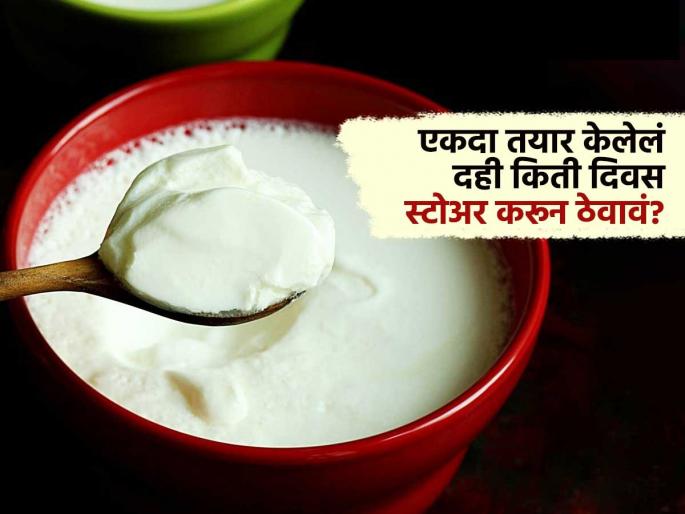how long does dahi stay fresh health & storage tips how long does dahi stay fresh | फ्रीजमध्ये ठेवलेले दही किती दिवस ताजे राहते? 'या' पेक्षा जास्त दिवस ठेवले तर हमखास बिघडेल पोट... how long does dahi stay fresh health & storage tips how long does dahi stay fresh | फ्रीजमध्ये ठेवलेले दही किती दिवस ताजे राहते? 'या' पेक्षा जास्त दिवस ठेवले तर हमखास बिघडेल पोट...