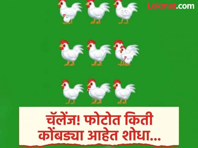 Optical illusion : Find a total number of chickens in this picture | Optical illusion : फोटोत एकूण कोंबड्या किती सांगा आणि जीनिअस ठरा, तेही फक्त 15 सेकंदात! Optical illusion : Find a total number of chickens in this picture | Optical illusion : फोटोत एकूण कोंबड्या किती सांगा आणि जीनिअस ठरा, तेही फक्त 15 सेकंदात!