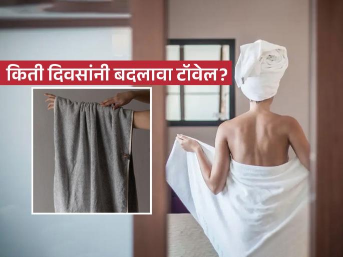How often should you change your towel experts reveal the truth | आंघोळीचा टॉवेल रोज धुणं चांगलं की नाही धुतला तरी चालताे? तज्ज्ञांचा सल्ला-तुमचा टॉवेल म्हणजे.. How often should you change your towel experts reveal the truth | आंघोळीचा टॉवेल रोज धुणं चांगलं की नाही धुतला तरी चालताे? तज्ज्ञांचा सल्ला-तुमचा टॉवेल म्हणजे..