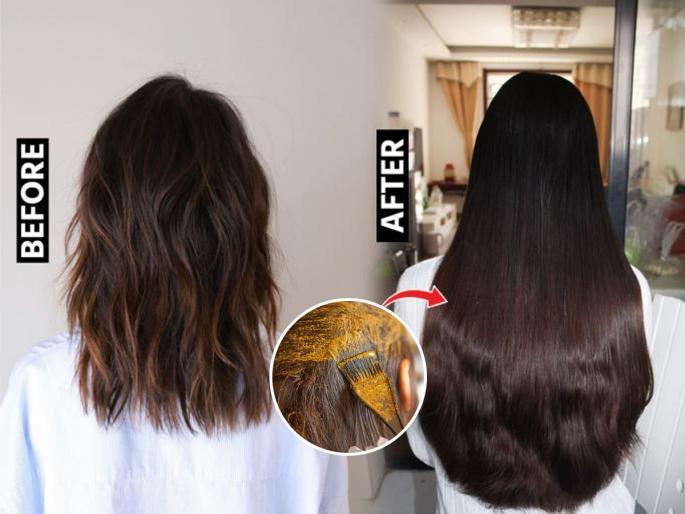 how to avoid dryness of hair after applying mehendi, how to prepare mehendi for hair | कोण म्हणतं मेहेंदी लावून केस कोरडे होतात? 'या' पद्धतीने मेहेंदी लावा- केस होतील सिल्की, चमकदार how to avoid dryness of hair after applying mehendi, how to prepare mehendi for hair | कोण म्हणतं मेहेंदी लावून केस कोरडे होतात? 'या' पद्धतीने मेहेंदी लावा- केस होतील सिल्की, चमकदार