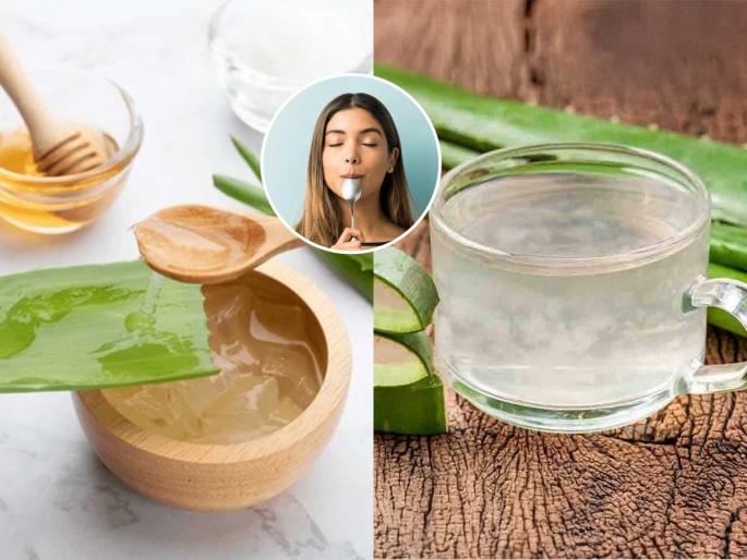 benefits of consuming fresh aloevera for periods pain, how to get rid of menstrual pain, pcod and pcos | मासिक पाळीतली पोटदुखी थांबविण्यासाठी कोरफड म्हणजे वरदान- 'या' पद्धतीने खा- पोटावरची चरबीही उतरेल.. benefits of consuming fresh aloevera for periods pain, how to get rid of menstrual pain, pcod and pcos | मासिक पाळीतली पोटदुखी थांबविण्यासाठी कोरफड म्हणजे वरदान- 'या' पद्धतीने खा- पोटावरची चरबीही उतरेल..