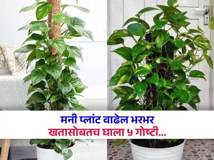 Picture of Build an Aquapark  Play Now for Free | RocketGames