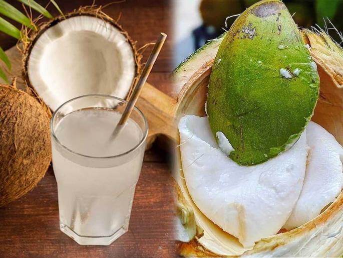 How To Identify Perfect Coconut With More Water Or Malai Easy Tricks how to know coconut has more water or Malai | शहाळ्यात मलई जास्त की पाणीच? कसं ओळखाल, ५ ट्रिक्स - प्रत्येकवेळी निवडा 'परफेक्ट' शहाळं... How To Identify Perfect Coconut With More Water Or Malai Easy Tricks how to know coconut has more water or Malai | शहाळ्यात मलई जास्त की पाणीच? कसं ओळखाल, ५ ट्रिक्स - प्रत्येकवेळी निवडा 'परफेक्ट' शहाळं...