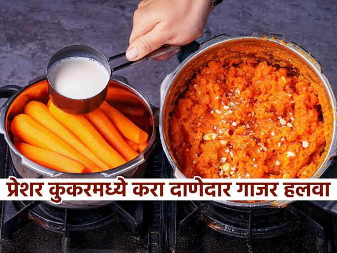 how to make gajar halwa in pressure cooker pressure cooker gajar halwa recipe Instant carrot halwa recipe | गाजर न किसता कुकरमध्ये गाजर हलवा करण्याची झटपट रेसिपी, होईल इतका मस्त की खातच राहावा... how to make gajar halwa in pressure cooker pressure cooker gajar halwa recipe Instant carrot halwa recipe | गाजर न किसता कुकरमध्ये गाजर हलवा करण्याची झटपट रेसिपी, होईल इतका मस्त की खातच राहावा...