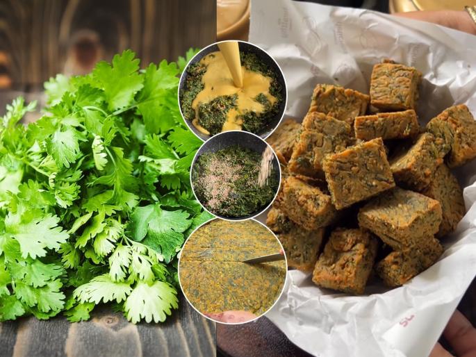 Instant Kothimbir Vadi No Steam Kothimbir Vadi No Steam Kothimbir Vadi How To Make No Steam Kothimbir Vadi At Home | Traditional Maharashtrian Food : न वाफवता तासाभरात करा पारंपरिक कोथिंबीर वडी! कुरकुरीत - खुसखुशीत वडीची चव न्यारी...