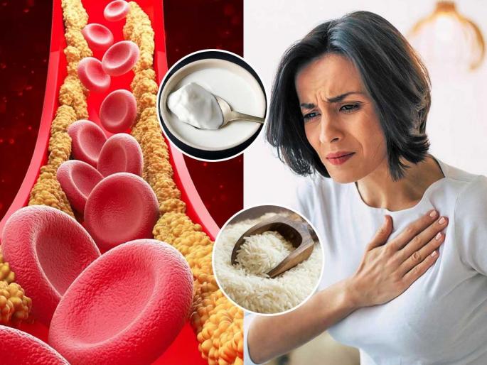 how to reduce cholesterol and triglyceride, home hacks to get rid of cholesterol and triglyceride, ayurvedic tips to control cholesterol and triglyceride | दह्यामध्ये 'हा' पांढरा पदार्थ मिसळून खा, वाढलेलं कोलेस्टेरॉल आणि ट्रायग्लिसराईड पटापट होईल कमी