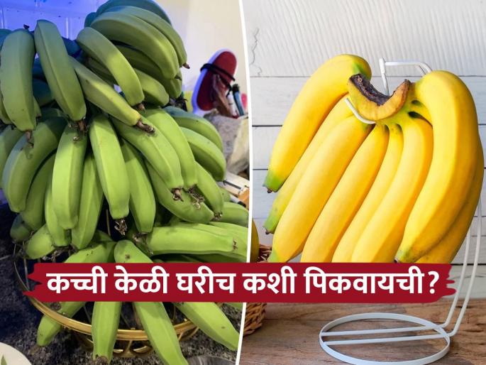 How to ripen bananas naturally at home | केमिकलयुक्त केळी खायची नसतील तर घरीच पिकवा, पाहा काही सोप्या आणि नॅचरल पद्धती