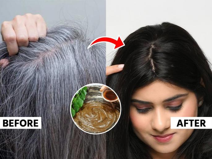 How to soak mehendi for better hair colour how to soak mehendi for hair best way to soak henna for dark hair colour how to prepare henna for hair colouring | मेहेंदी चोपडूनही केसांना रंगच येत नाही ? 'अशी' भिजवा मेहेंदी, केस दिसतील कलर केल्यासार‌खे सुंदर...