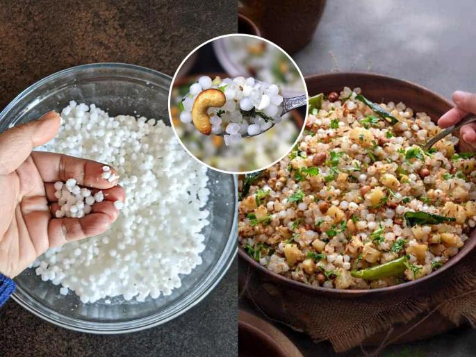 how to soak sabudana or sago urgently for making sabudana khichadi, 2 tips for soaking sago quickly | संकष्टी चतुर्थी: साबुदाणा भिजत घालायचंच विसरलं? फक्त अर्ध्या तासांत साबुदाणा भिजवण्याचे २ उपाय 