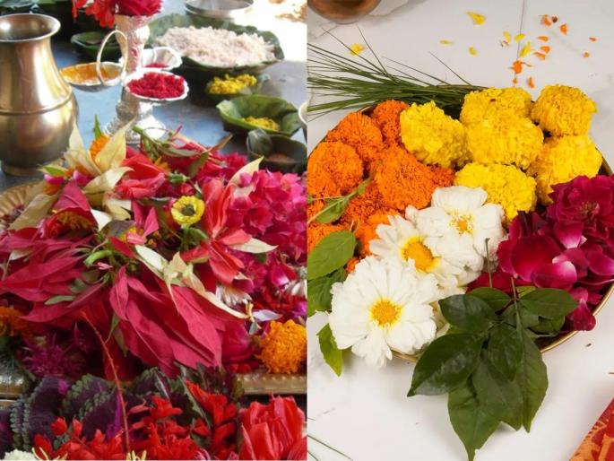 how to store flowers for long, how to keep flowers fresh for long, simple tricks to keep flowers fresh for 8 days  | देवपुजेसाठी आणलेली फुलं फ्रिजमध्ये ठेवूनही सडतात? २ उपाय- फुलं जास्त दिवस टिकतील