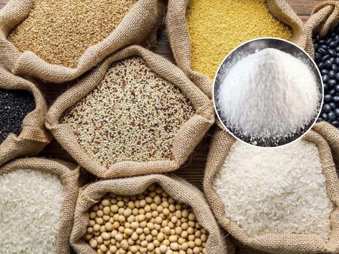 how to store rice, dal and grains for long, simple tricks and tips for the proper storage of grains | तुम्हीही धान्य साठविण्यासाठी केमिकलयुक्त पावडर वापरता? मग हे तातडीने वाचा- तज्ज्ञ सांगतात धोके..