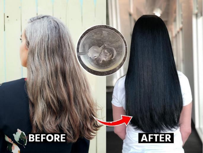 Home Remedy To Turn White Hairs Into Black Without Hair Dye how to turn white hair into black without dye natural remedies for premature white hair ayurvedic remedies for white hair to black | केसांना लावा कोरफडीचे हेअर डाय, काळे केस होतील पांढरे - साइड इफेक्ट नाही...