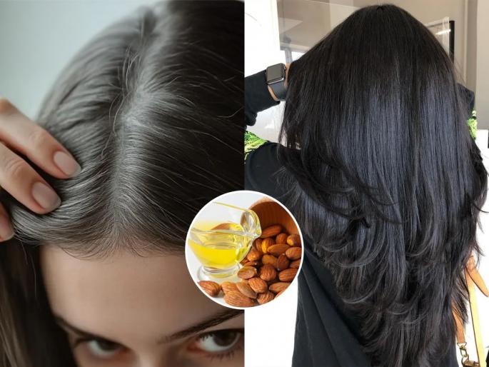 How to use almond to reduce grey hair at home home remedy for grey hair using almond almond benefits for hair color | मूठभर बदामाचा घरगुती हेअर डाय! पांढरे केस होतील काळेभोर - घरीच करा हा पैसा वसूल नॅचरल उपाय...