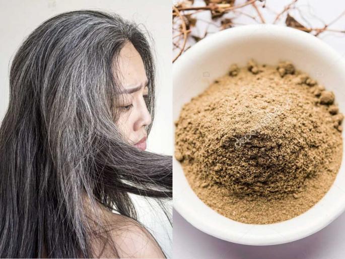use of bhringraj for gray hair, how to get rid of gray hair, how to use bhringraj for hair care  | डोक्यावरचा एकूण एक पांढरा केस होईल काळा, 'या' पद्धतीने भृंगराज वापरा- पांढऱ्या केसांचं टेन्शनच विसरा 