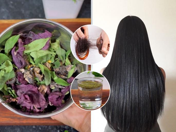 How to use curry leaves and hibiscus flower to reduce hair fall Best natural ingredients to stop hair fall Homemade powder for hair growth using curry leaves and hibiscus | चिमूटभर आयुर्वेदिक पावडर ताकासोबत घ्या, किंवा पदार्थांवर भुरभुरवून खा - बघा, केसगळती कशी होईल कमी...