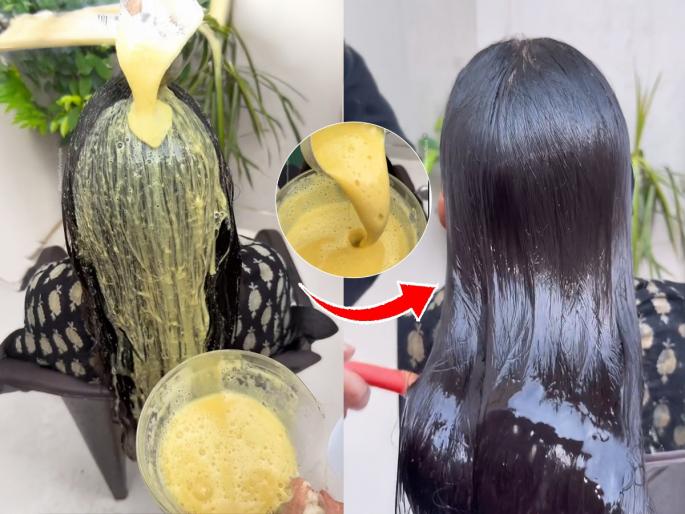 how to use methi water for hair growth fenugreek water benefits for hair methi seeds water for long and thick hair fenugreek water for hair fall control how to apply methi water on hair | केस धुण्यासाठी फक्त शाम्पू नाही, वापरा 'हे' पाणी; केसगळती थांबून नवीन केस वाढतील वेगाने...
