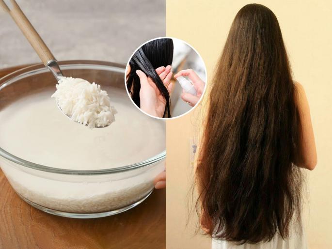 how to use rice water for hair, correct method of using rice water for hair, benefits of rice water for hair, how to make rice water for hair  | केसांसाठी राईस वाॅटर कसं तयार करायचं- कसं लावायचं? बघा पद्धत- केसांचे सगळे प्रॉब्लेम गायब 