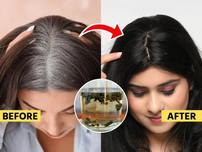 how to use tea powder or chay patti for naturally black hair, benefits of tea powder for white hair, how to get rid of gray hair | पांढऱ्या केसांचं टेन्शन? 'या' पद्धतीने चहा पावडर वापरा, केस नॅचरली होतील काळे- चमकदार