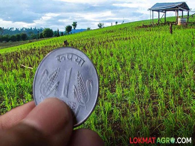 Irregularities in 1 rupee crop insurance scheme in maharashtra; Farmers from outside the state applied for benefits | १ रुपया पीकविमा योजनेत गैरप्रकार; लाभासाठी राज्याबाहेरील शेतकऱ्यांनीही केले अर्ज