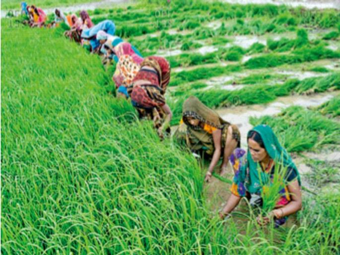 ‘First purchase minimum price’ means FTMP | ‘प्रथम खरेदी न्यूनतम किंमत’ अर्थात FTMP ‘First purchase minimum price’ means FTMP | ‘प्रथम खरेदी न्यूनतम किंमत’ अर्थात FTMP