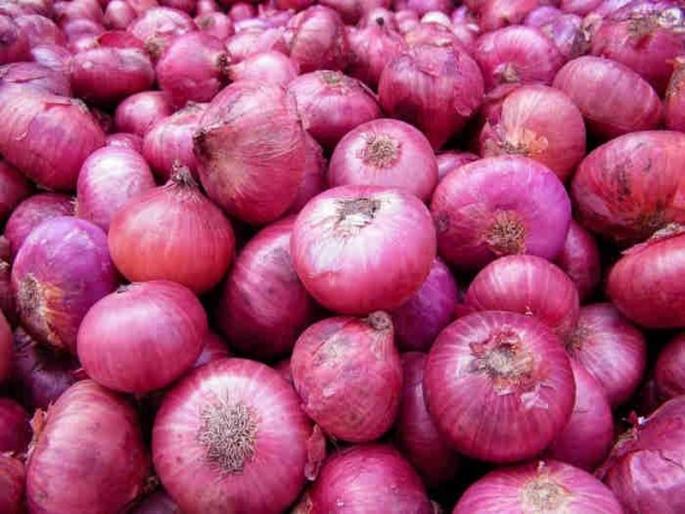 The ban on onion exports was finally lifted | कांद्याच्या निर्यातीवरील बंदी अखेर उठवली; कांदा उत्पादक शेतकऱ्यांना दिलासा The ban on onion exports was finally lifted | कांद्याच्या निर्यातीवरील बंदी अखेर उठवली; कांदा उत्पादक शेतकऱ्यांना दिलासा