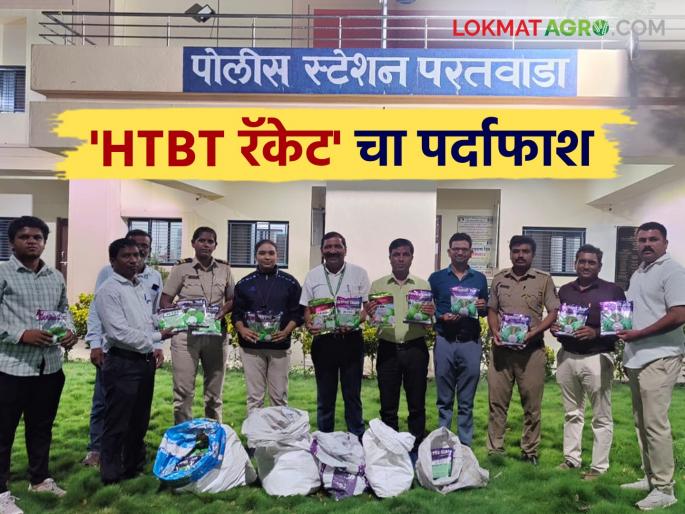latest news HTBT Cotton Seeds: Agricultural center chalak black business exposed; Seeds seized from car including warehouse Read in detail | HTBT Cotton Seeds: कृषी केंद्र चालकाचा काळा धंदा उघड; गोदामासह कारमधून बियाणे हस्तगत वाचा सविस्तर