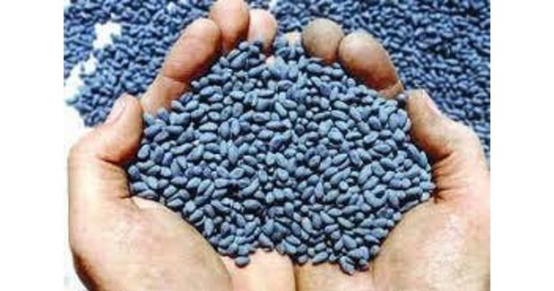 Challenge to FIR filed with sowing of HTBT seeds | एचटीबीटी बियाणे पेरल्यामुळे दाखल एफआयआरला आव्हान