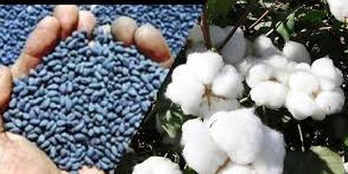 Attempt to entrap the farmer for HTBT seeds | एचटीबीटी बियाण्यांसाठी शेतकऱ्याला अडकविण्याचा प्रयत्न