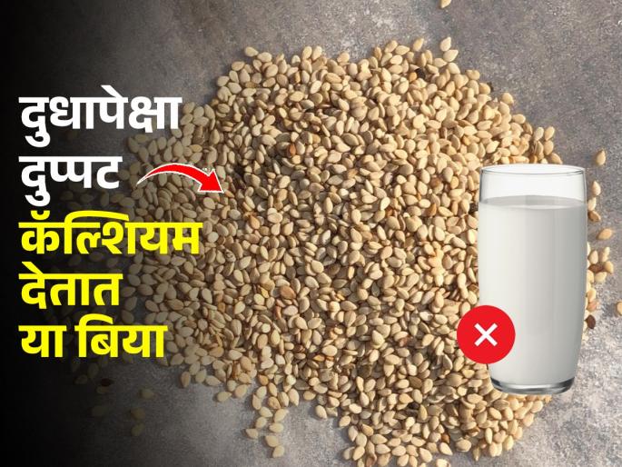 Calcium Rich Foods Non Dairy Calcium Foods : Sesame Food Seed Gives 8 Times More Calcium Than A Glass Of Milk | कॅल्शियम हवंय, दूध प्यायला नको? रोज १ चमचा या बिया खा, शरीर पोलादी होईल-हाडं होतील मजबूत