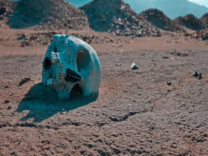 when-and-how-human-race-will-go-extinct-cientists-give-details | पृथ्वीवरून मानव कधी आणि कसा नामशेष होणार? शास्त्रज्ञांनी दिली मोठी माहिती...