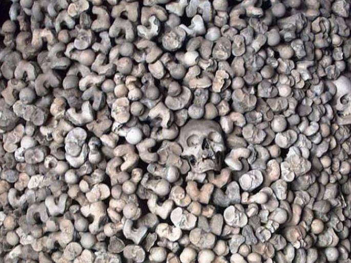 Wall made from human bones and skulls found in belgian | खोदकाम करताना सापडली ५०० वर्ष जुनी मानवी हाडांची भिंत, संशोधकही झाले हैराण! Wall made from human bones and skulls found in belgian | खोदकाम करताना सापडली ५०० वर्ष जुनी मानवी हाडांची भिंत, संशोधकही झाले हैराण!