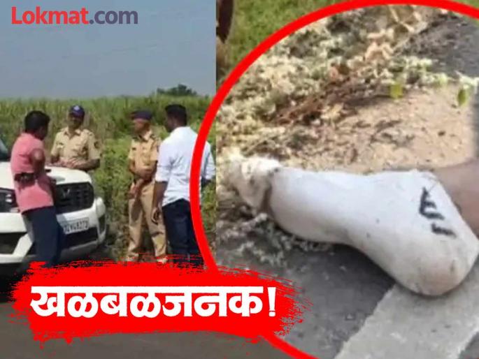 Only a man's foot was seen on the road, but who was that person?; What was the incident that shook Indapur? | रस्त्यावर फक्त माणसाचा पायच दिसला, पण तो व्यक्ती कोण?; इंदापूरला हादरवून टाकणारी घटना Only a man's foot was seen on the road, but who was that person?; What was the incident that shook Indapur? | रस्त्यावर फक्त माणसाचा पायच दिसला, पण तो व्यक्ती कोण?; इंदापूरला हादरवून टाकणारी घटना
